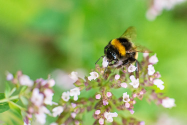 Similar image 21232575