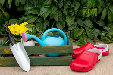 Similar image 21232576