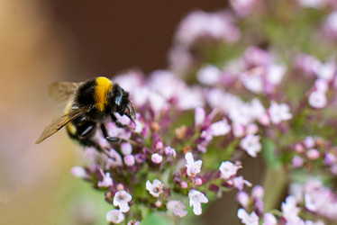 Similar image 21232577