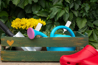 Similar image 21232578