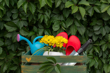 Similar image 21232580