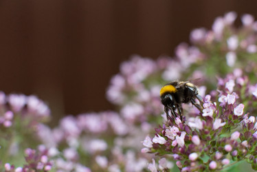 Similar image 21232581