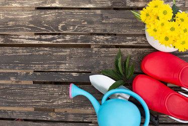 Similar image 21244898