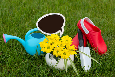 Similar image 21244955