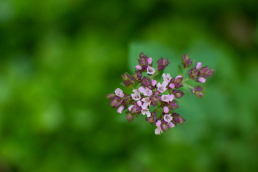 Similar image 21244956