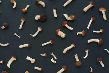 Similar image 21244960