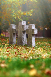 Similar image 21244343