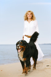 Similar image 21244344