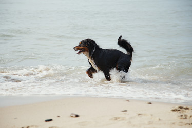 Similar image 21245376