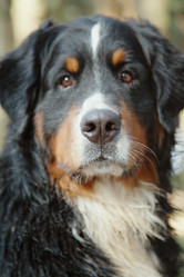 Similar image 21245781