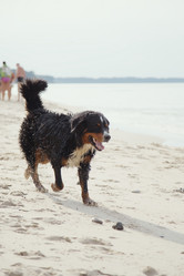 Similar image 21246021