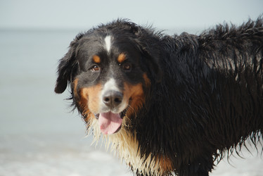 Similar image 21246023