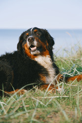 Similar image 21246024