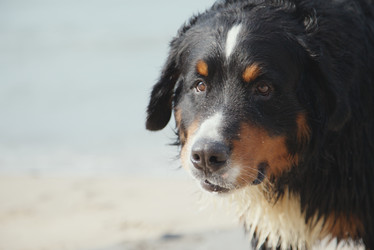 Similar image 21246025