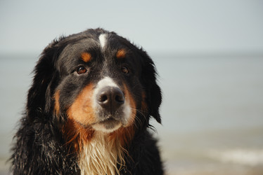 Similar image 21246027