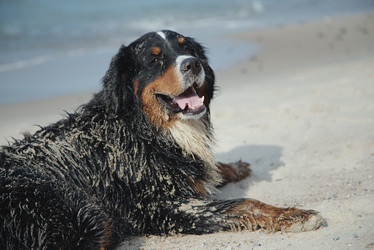 Similar image 21247481