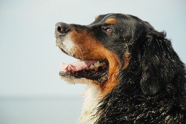 Similar image 21247483