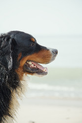 Similar image 21247485