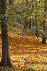 Similar image 21247486