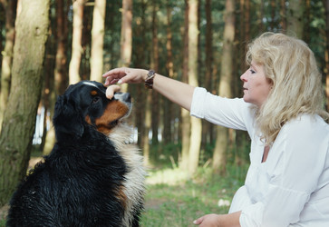 Similar image 21247487