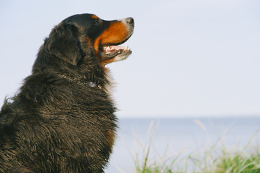 Similar image 21256162