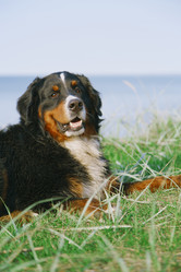 Similar image 21256163