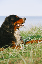 Similar image 21256166