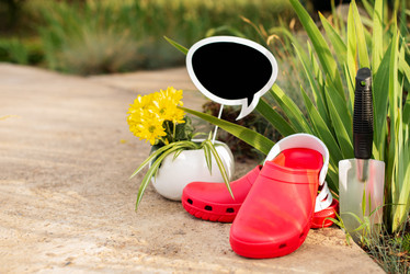 Similar image 21249072