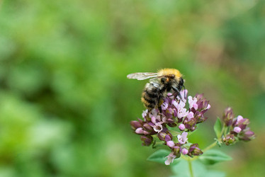 Similar image 21249074