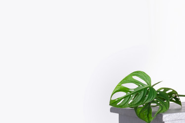 Similar image 21249076