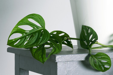 Similar image 21249078