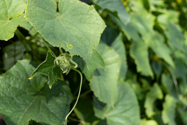 Similar image 21249080