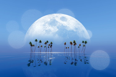 Similar image 21245584