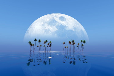 Similar image 21246032