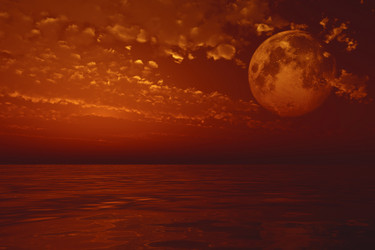 Similar image 21247495