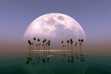 Similar image 21256175