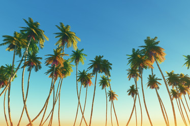 Similar image 21256179