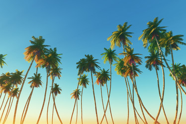 Similar image 21256340