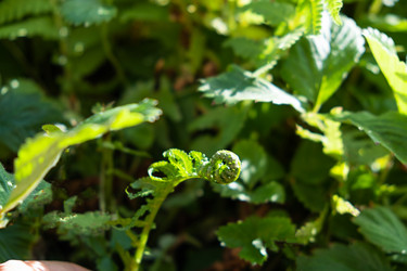 Similar image 21232584