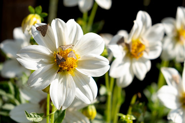 Similar image 21232592