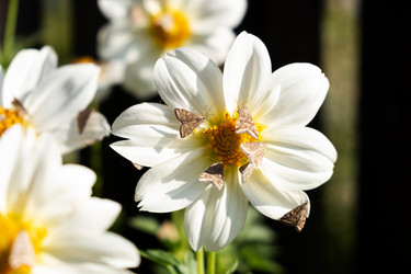 Similar image 21232595