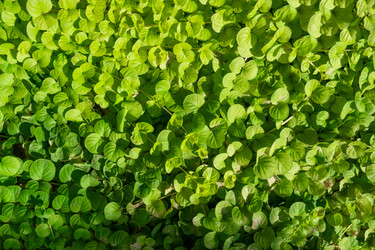 Similar image 21232598