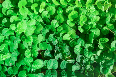 Similar image 21232600