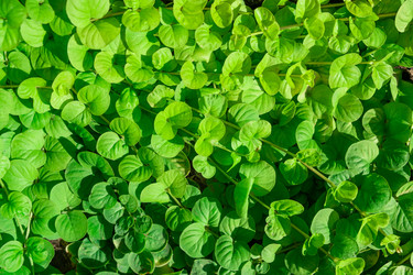 Similar image 21232602