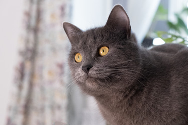 Similar image 21232612