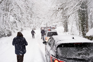 Similar image 21232613