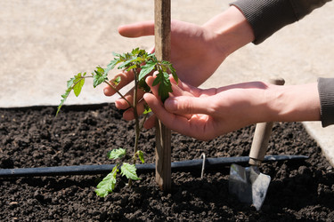 Similar image 21232615