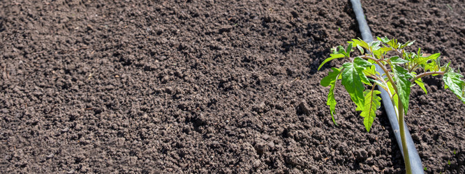 Similar image 21232618