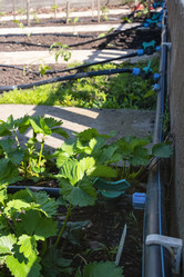 Similar image 21244899