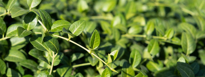 Similar image 21244962